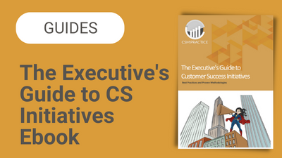 The Ultimate Executive’s Guide to
Customer Success Initiatives