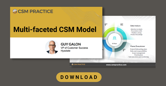 multi faceted csm model by Guy galon