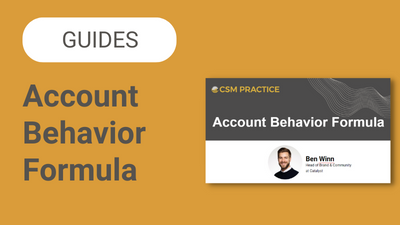 Account Behavior Formula