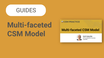 Multi-faceted CSM Model