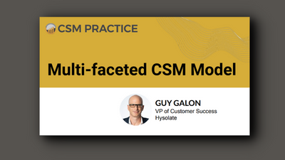 Multi faceted CSM model by Guy Galon slides