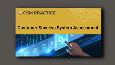 customer success system assessment